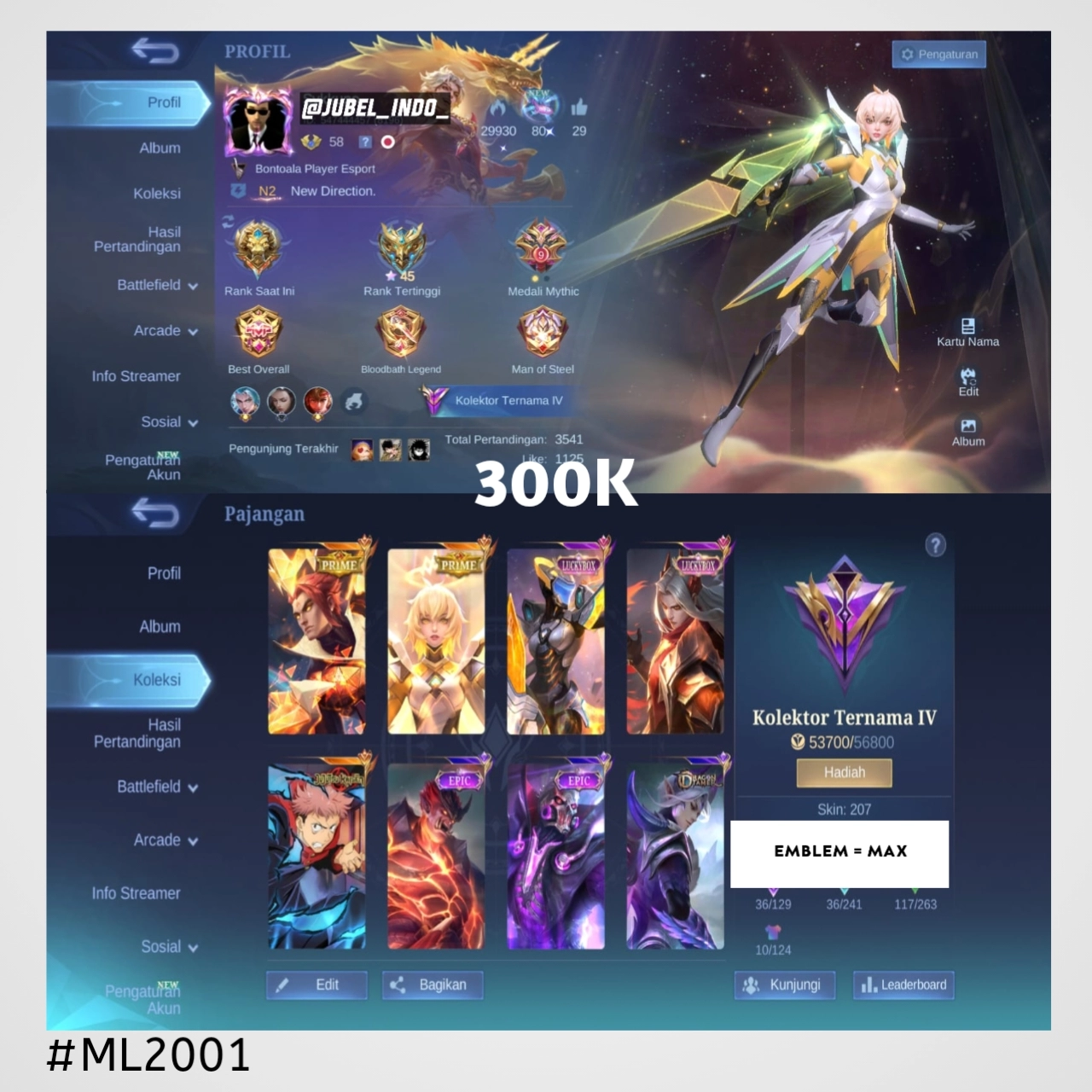 STOK ML #ML2001