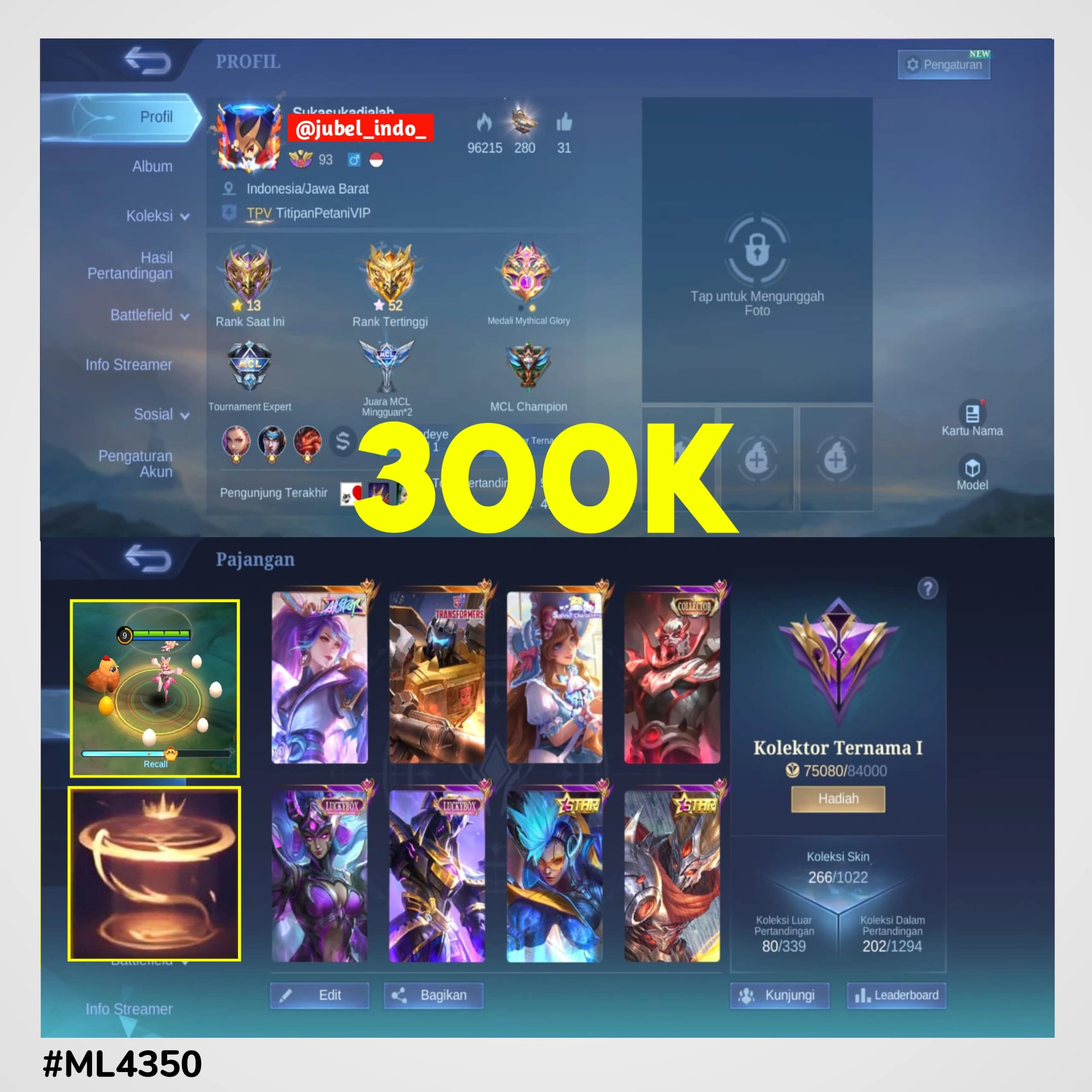 STOK ML #ML4350
