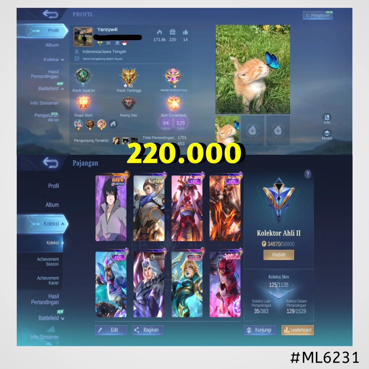 STOK ML #ML6231